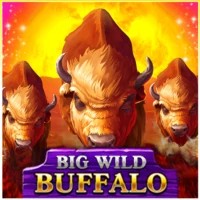 game logo by Belatra Games on vibebet-fr.fr